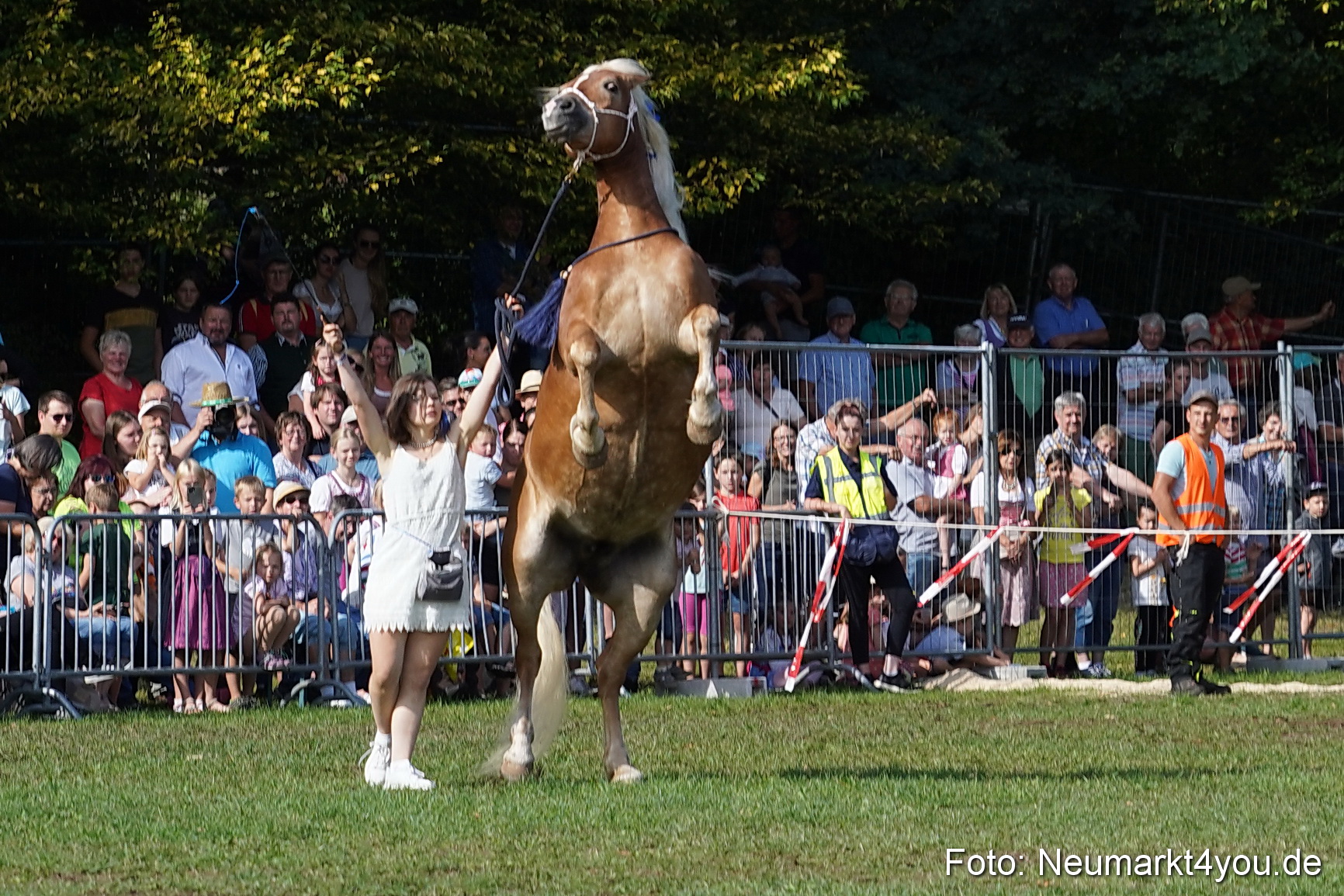 Pferde und Fohlenschau 2022 0151 